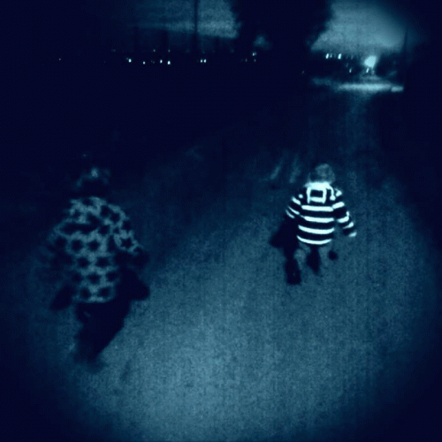 Sleeping Peonies : Sparkledust